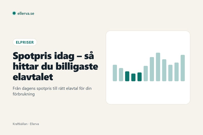 Spotpris idag – så hittar du billigaste elavtalet